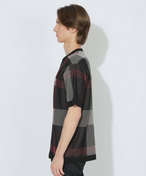 BLUE LABEL / BLACK LABEL CRESTBRIDGE / ブルーレーベル / ブラックレーベル・クレストブリッジ  ニット・セーター | 【WEB限定】クレストブリッジチェックメッシュニットTシャツ | 詳細2