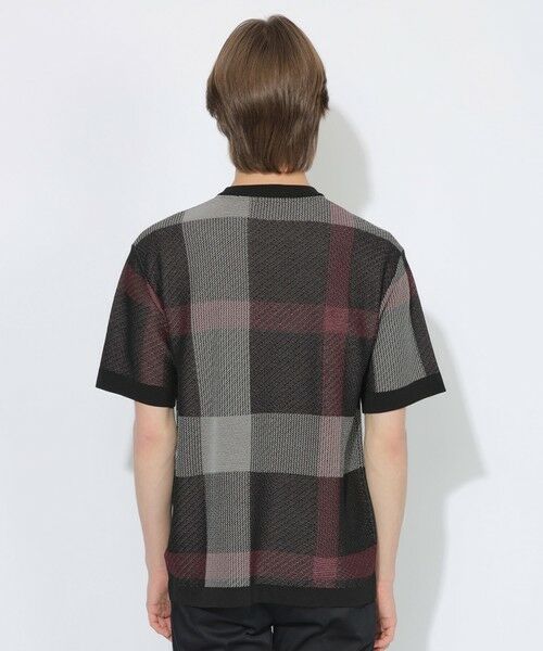 BLUE LABEL / BLACK LABEL CRESTBRIDGE / ブルーレーベル / ブラックレーベル・クレストブリッジ  ニット・セーター | 【WEB限定】クレストブリッジチェックメッシュニットTシャツ | 詳細3