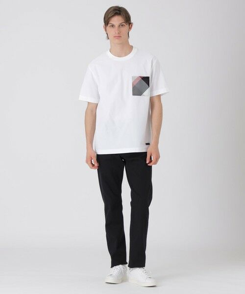 BLUE LABEL / BLACK LABEL CRESTBRIDGE / ブルーレーベル / ブラックレーベル・クレストブリッジ  カットソー | カラミチェックポケットTシャツ | 詳細1