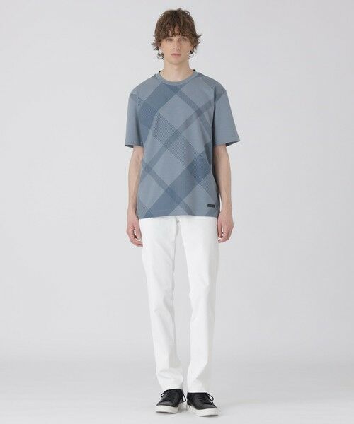 BLUE LABEL / BLACK LABEL CRESTBRIDGE / ブルーレーベル / ブラックレーベル・クレストブリッジ  カットソー | ハイストレッチシャドーチェックTシャツ | 詳細12