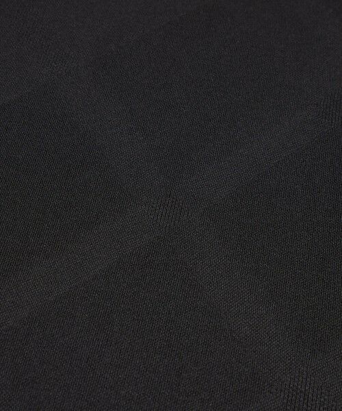 BLUE LABEL / BLACK LABEL CRESTBRIDGE / ブルーレーベル / ブラックレーベル・クレストブリッジ  カットソー | 【予約販売】デュラブルシャドーチェックポロシャツ | 詳細15