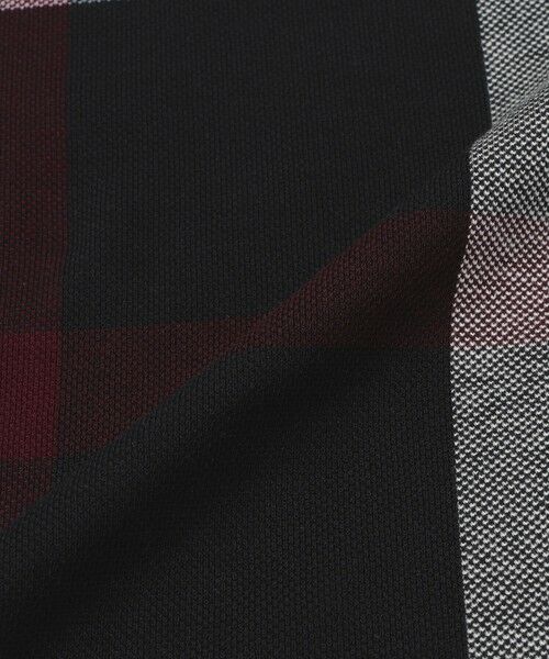 BLUE LABEL / BLACK LABEL CRESTBRIDGE / ブルーレーベル / ブラックレーベル・クレストブリッジ  カットソー | 【WEB限定】スラブクレストブリッジチェックポロシャツ | 詳細5
