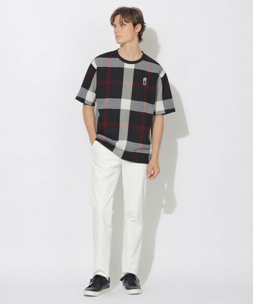 BLUE LABEL / BLACK LABEL CRESTBRIDGE / ブルーレーベル / ブラックレーベル・クレストブリッジ  カットソー | 【WEB限定】スラブクレストブリッジチェックTシャツ | 詳細1