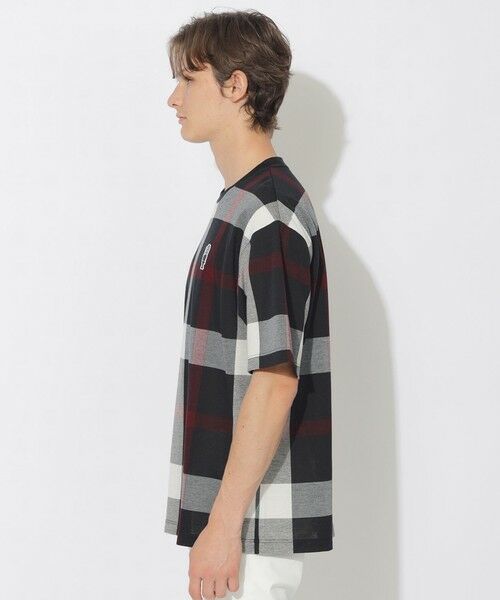 BLUE LABEL / BLACK LABEL CRESTBRIDGE / ブルーレーベル / ブラックレーベル・クレストブリッジ  カットソー | 【WEB限定】スラブクレストブリッジチェックTシャツ | 詳細2