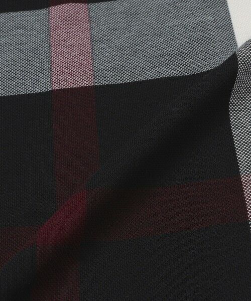 BLUE LABEL / BLACK LABEL CRESTBRIDGE / ブルーレーベル / ブラックレーベル・クレストブリッジ  カットソー | 【WEB限定】スラブクレストブリッジチェックTシャツ | 詳細5