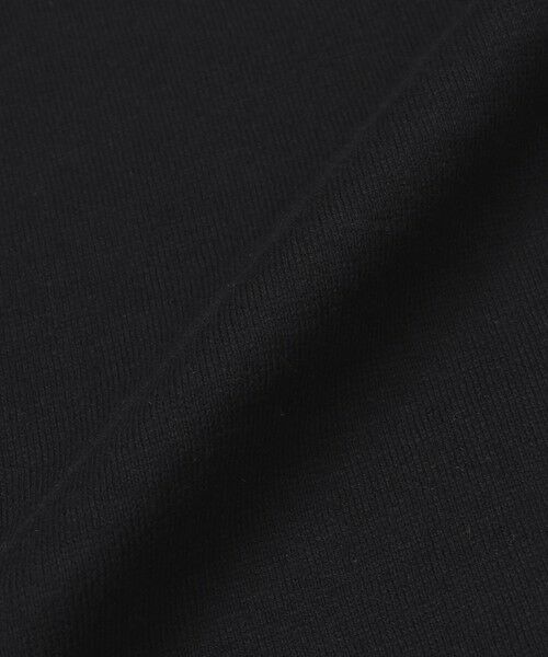 BLUE LABEL / BLACK LABEL CRESTBRIDGE / ブルーレーベル / ブラックレーベル・クレストブリッジ  カットソー | 【WEB限定】ガーズマンワッペンスラブTシャツ | 詳細11