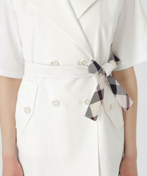 BLUE LABEL / BLACK LABEL CRESTBRIDGE / ブルーレーベル / ブラックレーベル・クレストブリッジ  その他アウター | 【店舗限定】ドライオックスジレ | 詳細5