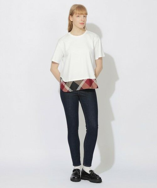 BLUE LABEL / BLACK LABEL CRESTBRIDGE / ブルーレーベル / ブラックレーベル・クレストブリッジ  カットソー | 【WEB限定】ヘムチェックTシャツ | 詳細1