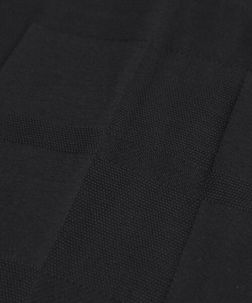 BLUE LABEL / BLACK LABEL CRESTBRIDGE / ブルーレーベル / ブラックレーベル・クレストブリッジ カットソー | 【10th ANNIVERSARY】シャドーチェックプレミアムポロシャツ | 詳細7