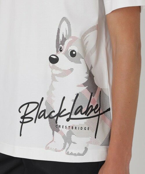 BLUE LABEL / BLACK LABEL CRESTBRIDGE / ブルーレーベル / ブラックレーベル・クレストブリッジ カットソー | ピーキングコーギーTシャツ | 詳細4