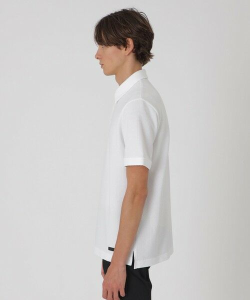 BLUE LABEL / BLACK LABEL CRESTBRIDGE / ブルーレーベル / ブラックレーベル・クレストブリッジ  カットソー | 【一部店舗限定】ダンダンリンクスポロ | 詳細2