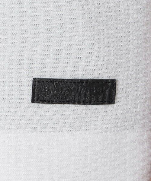 BLUE LABEL / BLACK LABEL CRESTBRIDGE / ブルーレーベル / ブラックレーベル・クレストブリッジ  カットソー | 【一部店舗限定】ダンダンリンクスポロ | 詳細5