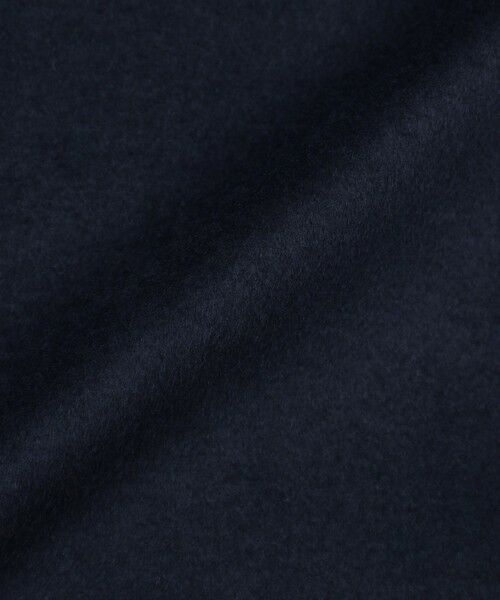 BLUE LABEL / BLACK LABEL CRESTBRIDGE / ブルーレーベル / ブラックレーベル・クレストブリッジ その他アウター | 【一部店舗限定】ビーバーチェスターコート | 詳細5