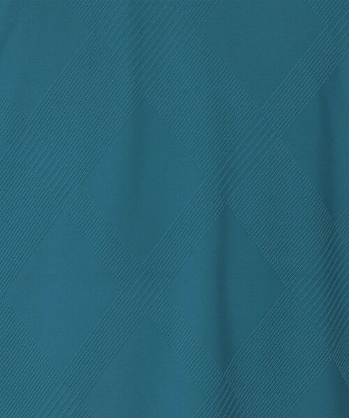 BLUE LABEL / BLACK LABEL CRESTBRIDGE / ブルーレーベル / ブラックレーベル・クレストブリッジ  カットソー | 【BLACK lab.】バイアスシャドーチェックカットソー | 詳細17