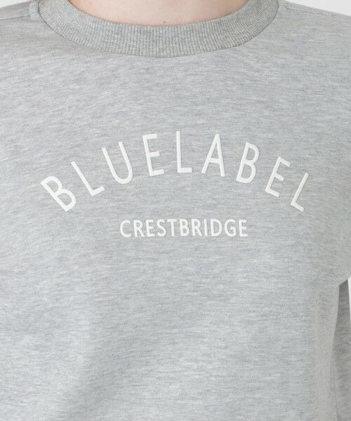 BLUE LABEL / BLACK LABEL CRESTBRIDGE / ブルーレーベル / ブラックレーベル・クレストブリッジ  カットソー | ロゴプリントプルオーバー | 詳細13