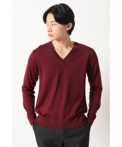 DAKS / ダックス その他トップス | Vネック ニットプルオーバー