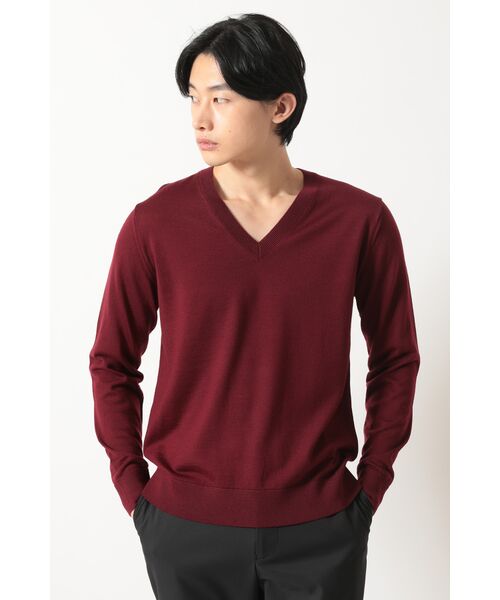 DAKS / ダックス その他トップス | Vネック ニットプルオーバー（パープル）