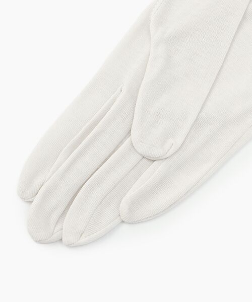 DAKS（GOODS） / ダックス（グッズ） 手袋 | レディース UVカット手袋 | 詳細2