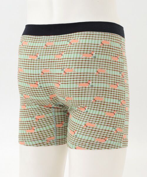 DAKS LONDON　アンダーウェア  / ダックス　ロンドン　アンダーウェア ボクサーパンツ・ブリーフ | 前開きロングボクサーブリーフ | 詳細2