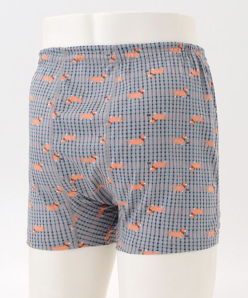 DAKS LONDON　アンダーウェア  / ダックス　ロンドン　アンダーウェア トランクス | 前開きニットトランクス | 詳細1