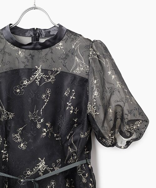 Dear Princess / ディア プリンセス ミニ丈・ひざ丈ワンピース | オーガンジープリント　ワンピース　 | 詳細3