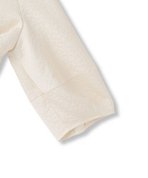 DE CLASSE LAUTREAMONT / デュクラス ロートレアモン シャツ・ブラウス | フォルムスリーブ ジャガードブラウス≪手洗い可能≫ | 詳細3