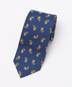 DESIGNWORKS / デザインワークス ネクタイ | FRANCO BASSI ペイズリー柄ネクタイ