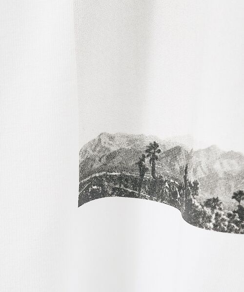 DESIGNWORKS / デザインワークス Tシャツ | PALM TREE フォトTシャツ | 詳細2