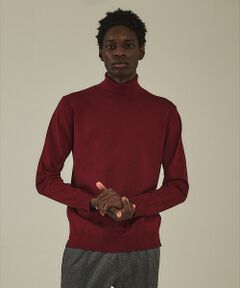 DESIGNWORKS / デザインワークス ニット・セーター | 【カシミアタッチ】 タートルネック　ニット