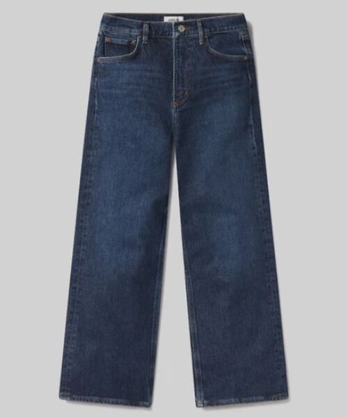 DESIGNWORKS / デザインワークス デニムパンツ | 【AGOLDE/エーゴールドイー 】REN JEANS デニムパンツ ブルー | 詳細1