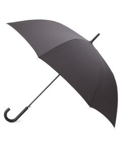 Dessin / デッサン 傘 | Wpc.晴雨兼用　継続はっ水ジャンプ傘（長傘）