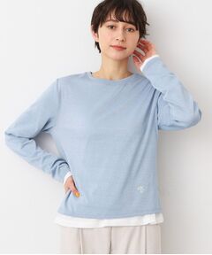 Dessin / デッサン カットソー | 【洗える】シアーカットソー