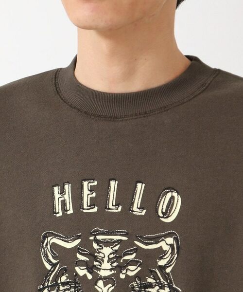 Dessin / デッサン スウェット | 【洗える】タイガーモチーフスウェット | 詳細12