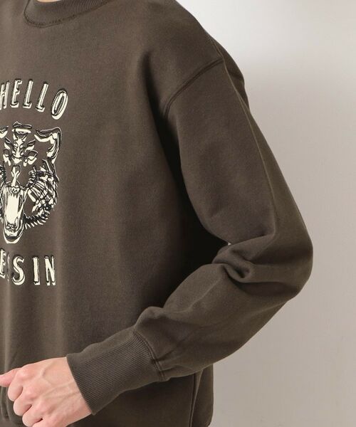 Dessin / デッサン スウェット | 【洗える】タイガーモチーフスウェット | 詳細13