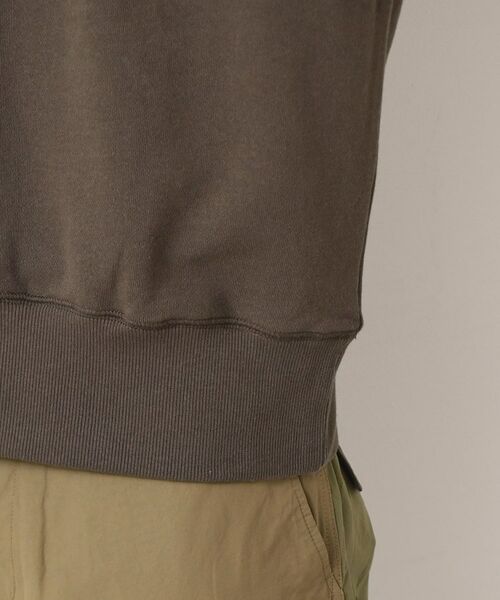 Dessin / デッサン スウェット | 【洗える】タイガーモチーフスウェット | 詳細14