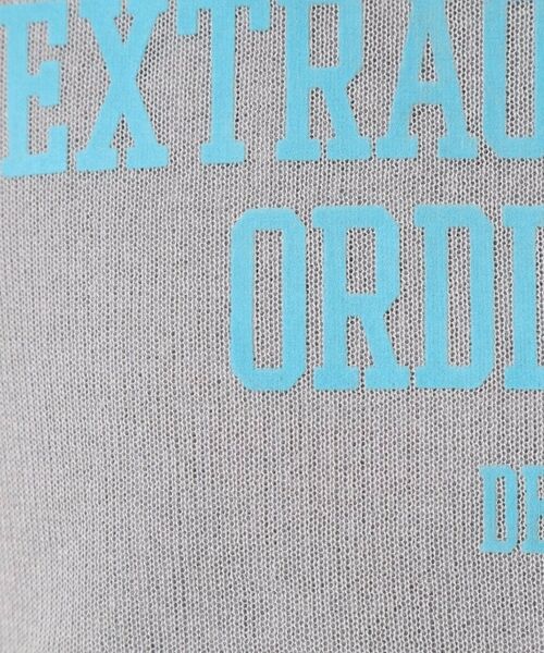 Dessin / デッサン ニット・セーター | 【洗える】シースルーロゴニット | 詳細4