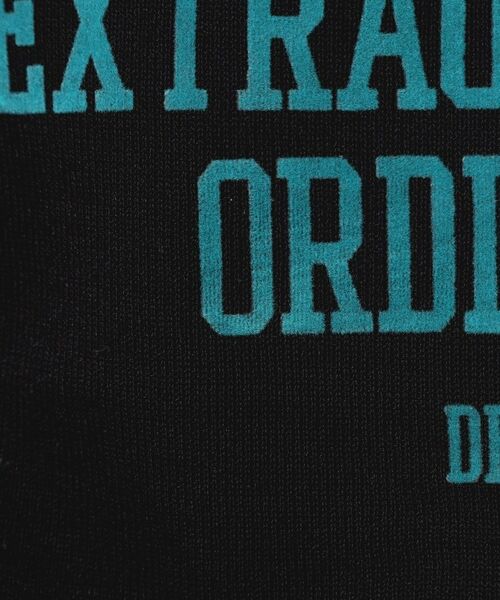 Dessin / デッサン ニット・セーター | 【洗える】シースルーロゴニット | 詳細8