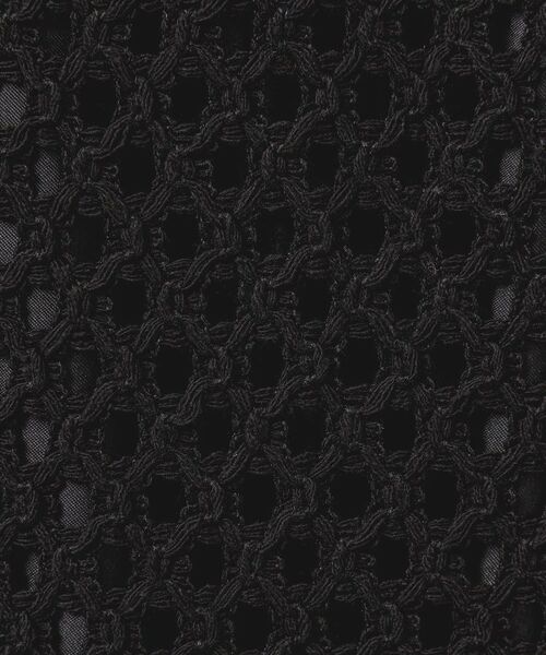 Dessin / デッサン ロング・マキシ丈スカート | 【セットアップ可能・洗える】メッシュレーススカート | 詳細4