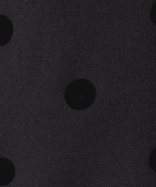 Dessin / デッサン パンツ | 【洗える】フロッキードットパンツ | 詳細4
