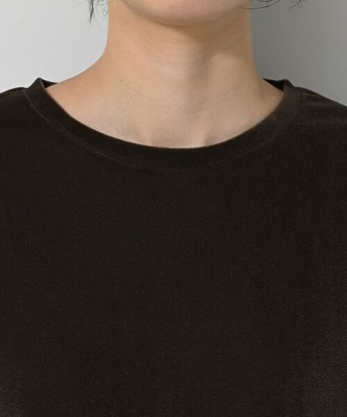 Dessin / デッサン カットソー | 【洗える】シアーベロアトップス | 詳細16