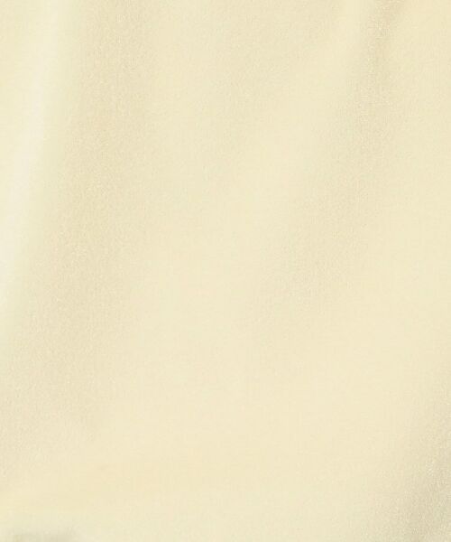 Dessin / デッサン カットソー | 【洗える】シアーベロアトップス | 詳細4