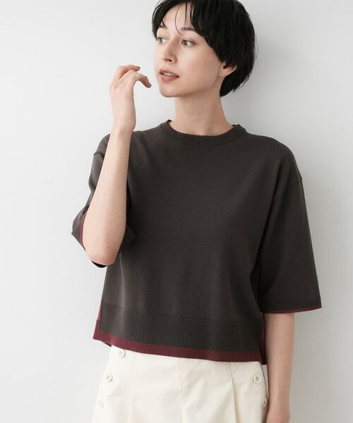 Dessin / デッサン ニット・セーター | 【洗える】バイカラーショート丈ニット(ブラウン(544))