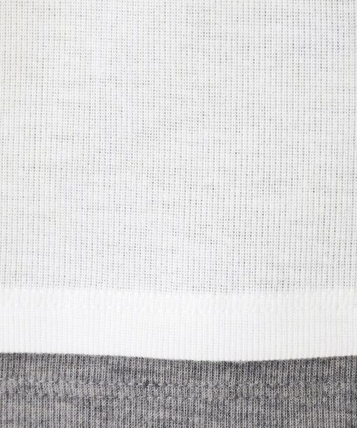 Dessin / デッサン カットソー | 【洗える】バイカラーシアーリブカットソー | 詳細4