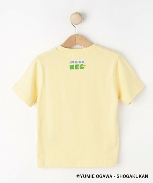 Dessin / デッサン Tシャツ | 【小学館の図鑑NEO　コラボ】恐竜Tシャツ | 詳細2