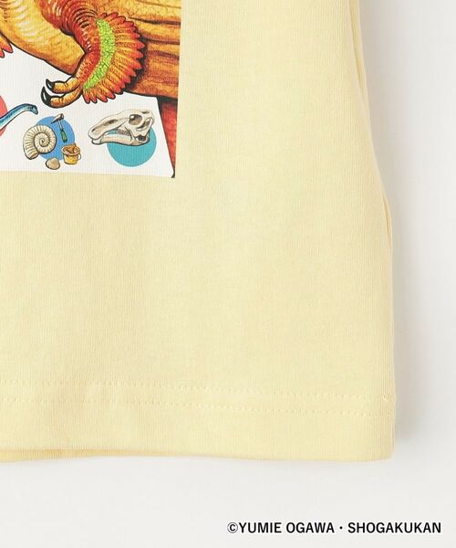 Dessin / デッサン Tシャツ | 【小学館の図鑑NEO　コラボ】恐竜Tシャツ | 詳細6