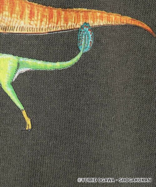 Dessin / デッサン Tシャツ | 【小学館の図鑑NEO コラボ】恐竜Tシャツ | 詳細13