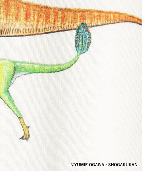 Dessin / デッサン Tシャツ | 【小学館の図鑑NEO コラボ】恐竜Tシャツ | 詳細14