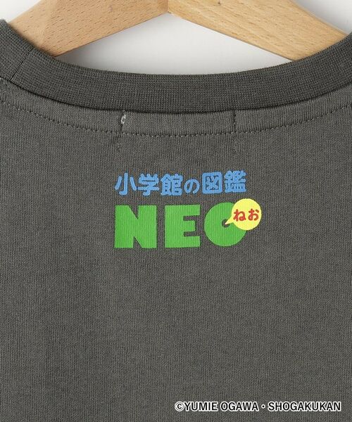 Dessin / デッサン Tシャツ | 【小学館の図鑑NEO コラボ】恐竜Tシャツ | 詳細4