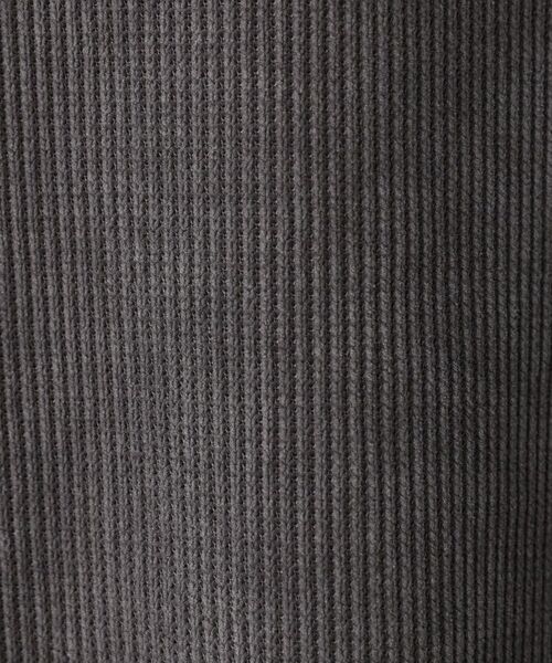 Dessin / デッサン カットソー | 【洗える】ベロアサーマルカットソー | 詳細12