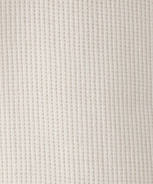 Dessin / デッサン カットソー | 【洗える】ベロアサーマルカットソー | 詳細4